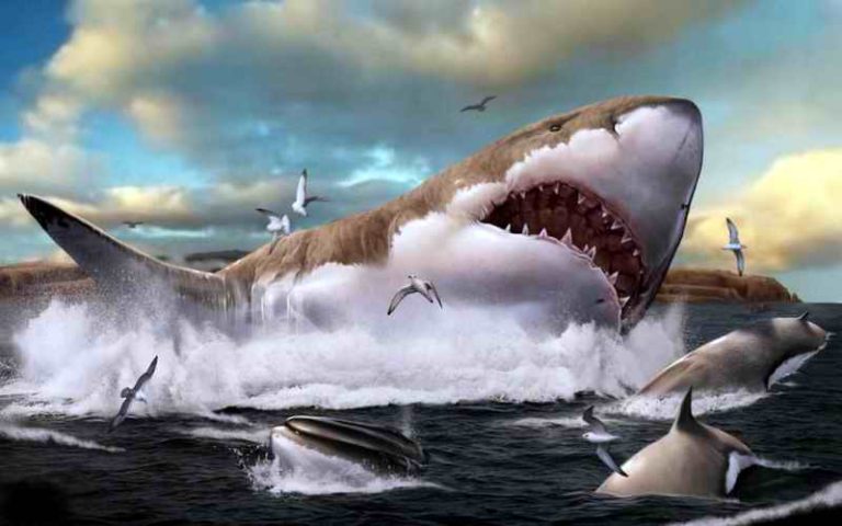 Megalodon - morski pas 10 puta veći od tiranosaurusa