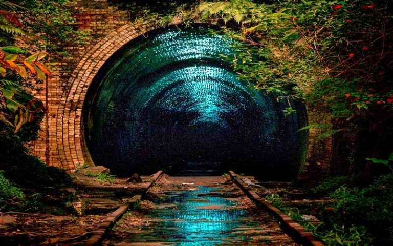 Neobični tunel svetlećih crva